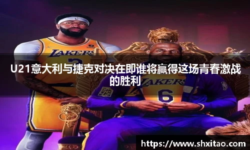 v66体育官网